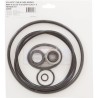 Pump O-Ring/Seal Kit, Generic Sta-Rite Dura/Max-E-Glas II :