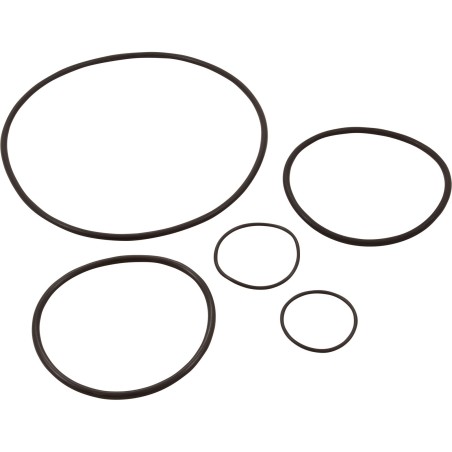 Pump O-Ring Kit, Generic Challenger Pump :