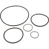Pump O-Ring Kit, Generic Challenger Pump :