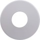 Escutcheon, Pentair, M235, White : 542049