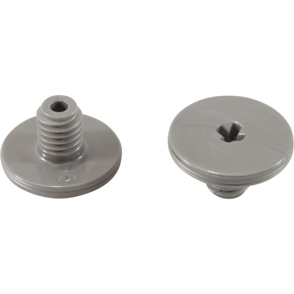 Retainer Screw, Zodiac Polaris Quattro™ P40/Sport, Slvr, 2 Pk : R0838800