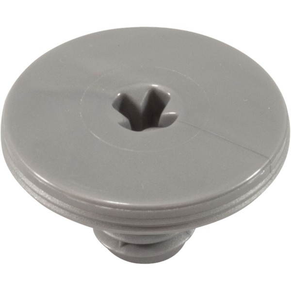 Retainer Screw, Zodiac Polaris Quattro™ P40/Sport, Slvr, 2 Pk : R0838800