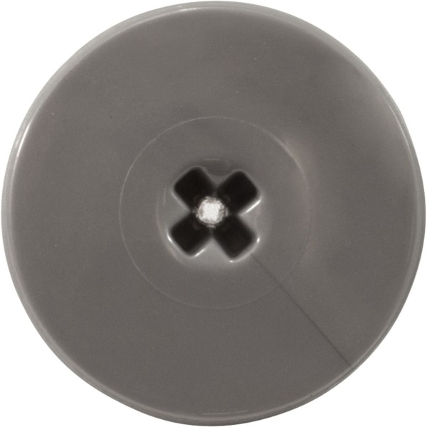 Retainer Screw, Zodiac Polaris Quattro™ P40/Sport, Slvr, 2 Pk : R0838800