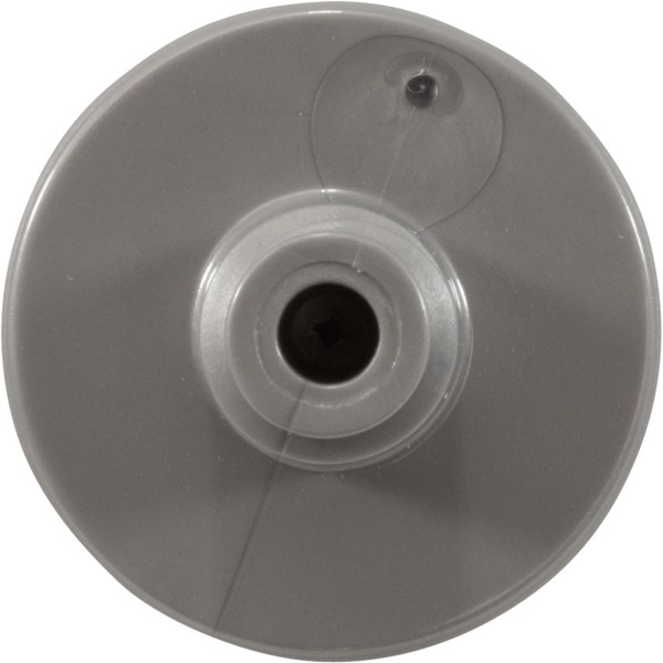 Retainer Screw, Zodiac Polaris Quattro™ P40/Sport, Slvr, 2 Pk : R0838800