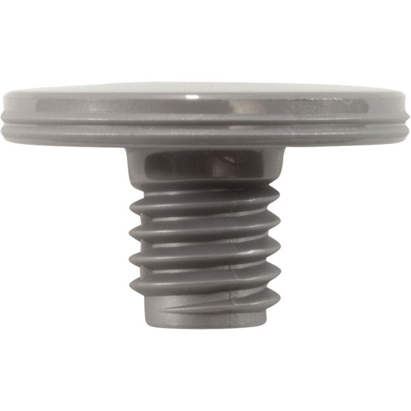 Retainer Screw, Zodiac Polaris Quattro™ P40/Sport, Slvr, 2 Pk : R0838800