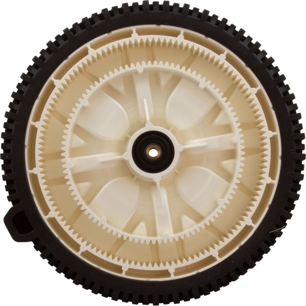 Tune-Up Pack, Pentair Warrior Model 360302 : 360534