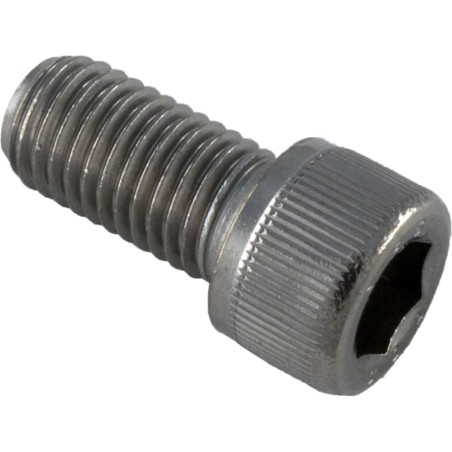 Adjustment Screw, Pentair Letro Legend Cleaners, SS : 370198