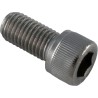 Adjustment Screw, Pentair Letro Legend Cleaners, SS : 370198