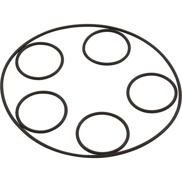 In-Floor Caretaker Valve, Zodiac Polaris : 5-9-2006