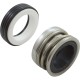 Shaft Seal, Pentair EQ/C Series, All Models : 071725S