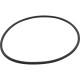 O-Ring, Speck 433 X-Large Tank, Lid : 2920941210