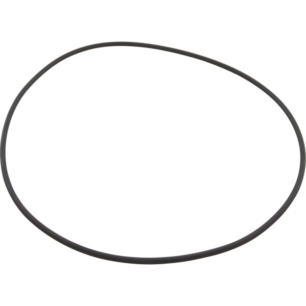 O-Ring, Speck 21-80 GS, Suction Housing : 2923241200