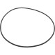 O-Ring, Speck 21-80 GS, Suction Housing : 2923241200