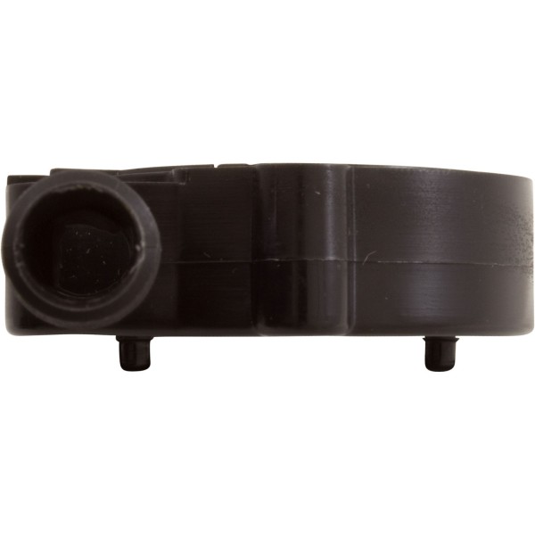 Volute, Little Giant Number 1/1-EA/1-AA : 101375