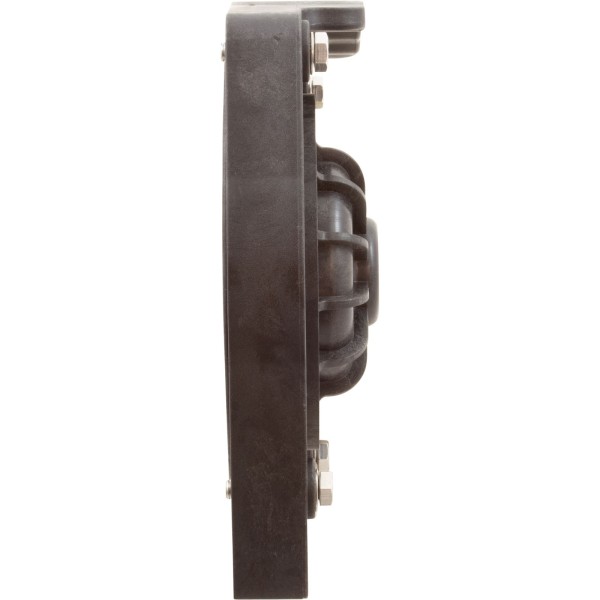 Seal Plate Assy, Raypak Protege RPVSP1, 3/4", W/O-Ring, Flange : 018234F
