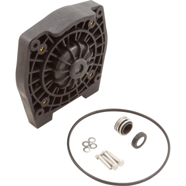 Seal Plate Assy, Raypak Protege RPVSP1, 3/4", W/O-Ring, Flange : 018234F