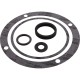Shaft Seal Kit, Pentair 7HN/10HN/10SN/15SN, An A1 1-1 : PP1551