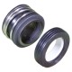 Shaft Seal, Astral CTX/BX Pumps : FS75508