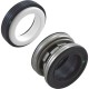 Shaft Seal, PS-3874, 1" Shaft, Viton PS-360 : PS-3874