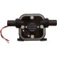 Pump, Xylem Flojet 4100 Quad, 24VDC, 5A, 5.0GPM : 4125-504A