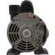 Pump, Circ, WW Iron Might, 1/15hp, 1.3A, 115v, 48fr, OEM : 3410030-1E
